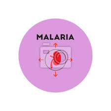 Chloroquine is a potent inhibitor of sars coronavirus infection and spread j. Vektor Symbol Auf Kreis Verschiedene Symptome Der Malaria Auf Fototapete Fototapeten Milz Dengue Fieber Unhygienisch Myloview De