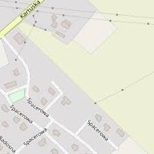 Dach-Mistrz Daniel Wierciński, Dachy