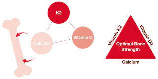 We did not find results for: How Vitamin D Vitamin K2 Work Together Betteryou