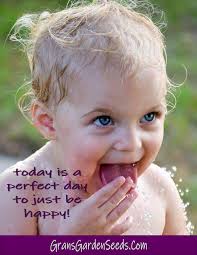 Easy-Grow Colorful Garden Flowers Red Black Eyed Susan Vine Seeds