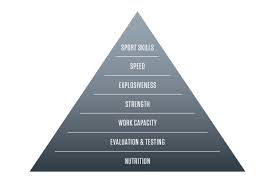 Image result for training effect schema