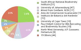Image result for Rhynchosia mannii