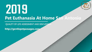 Instead, they may spend their last moments in the arms of those. Pet Euthanasia At Home San Antonio Gentle Pet Passages By Gentle Pet Passages Issuu
