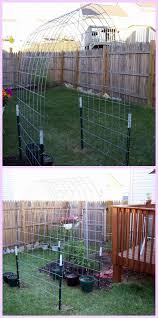 Don't forget, the construction of the arch is the same, regardless of whether you want to put garden beds on the outside of the tunnel, or one on the inside like mine! Diy Cattle Panel Squash Arch Tutorial