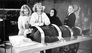 Young Frankenstein, From Left, Peter Boyle, Gene Wilder, Teri Garr, 1974'  Photo | Art.Com