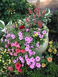 Tilted Bottomless Pot Planted In The Garden Flowers Spilling Out Flower Pots Plants Flower Garden