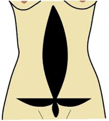 We did not find results for: The Fleur De Lis Pattern Is Created When Horizontal And Vertical Download Scientific Diagram
