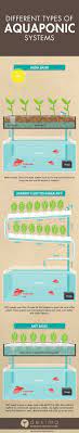 There Are Many Different Type Of Aquaponics Systems These Include Media Based Nft Nutrient Flow Techinque And Dwc Deep Wa Drivhus Ideer Kokkenhave Havedam
