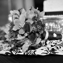 Maybe you would like to learn more about one of these? Zuzu S Petals Gifts In Fayetteville Arkansas 479 443 5599