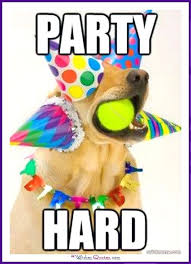 Happy Birthday Memes With Funny Cats Dogs And Animals Birthday Meme Dog Funny Happy Birthday Meme Happy Birthday Dog