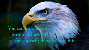 We did not find results for: Pin By Raj Thambithurai On 7 Rules Of Life 7 Rules Of Life Bald Eagle Animals