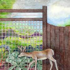 Fencing keeps the deer out from your garden. How To Keep Deer Out Of A Garden Bonnie Plants