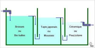Resultat De Recherche D Images Pour Fabriquer Filtre Etang Kolam Ikan Kebun