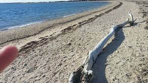 Long beach, located within the park, was designated. Orient Beach State Park 2021 All You Need To Know Before You Go Tours Tickets With Photos Tripadvisor