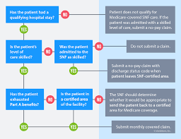 Getting Started With Skilled Nursing Facility Billing Guide