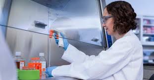 Maybe you would like to learn more about one of these? Cell Culture Solutions Cell Culture Applications And Plates Corning