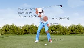 Image result for Golf Injuries