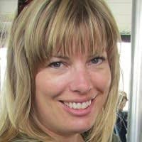 My Lost Brothers: The Untold Story by the Yarnell Hill Fire's Lone Survivor  by Brendan McDonough