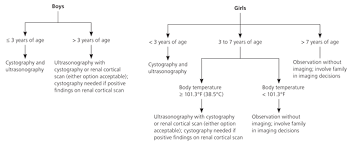 A urinary tract infection is any infection along the urinary tract. Diagnosis And Treatment Of Urinary Tract Infections In Children American Family Physician
