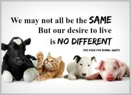 Collection by life is better ⓥegan. One Voice For Animal Rights Animal Rights Animals Animal Tattoos
