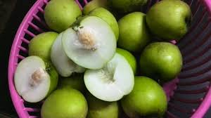 Namun siapa sangka ternyata buah bidara juga… Inilah Khasiat Buah Bidara Untuk Kesihatan Yang Ramai Tidak Tahu Kartel Dakwah