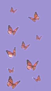 We did not find results for: Aesthetic Butterfly Pictures