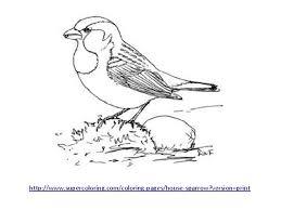 Printable coloring pages in.png format. Sunday School Nd 2 Sunday After Trinity Welcome