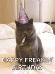 Cute birthday wishes 50th birthday cards happy birthday pictures happy birthday sister happy birthday messages happy birthday greetings happy bird day 101 funny 40th birthday memes to take the dread out of turning 40. 101 Funniest Happy Birthday Gifs Birthday Meme