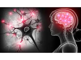 Kim The Brain Healer Brain Healing