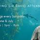 Celebrating Sir David Attenborough: Ocean