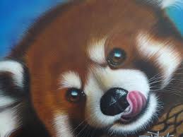 Red Panda By Darren Robinson Baby Animal Painting Panda Art Panda Painting