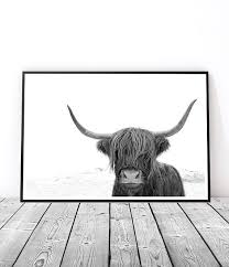 Large Black And White Animal Prints Large Highland Cow Print Black And White Cow Art Farm Animal Photography Prints Large Wall Art Boho Decor Modern Farmhouse Decor Scandinavian Artwork Highland Cow Print Highland Cow Art