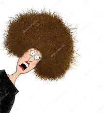 Frizzy Bad Hair Day Stock Illustration by ©ponytail1414 #6604604
