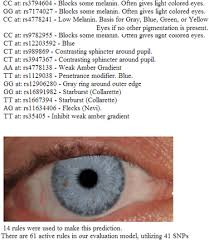 The Dna Of Eye Color Its Complicated Kitty Coopers Blog