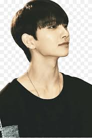 From bowl cut hair to slick back. Seventeen Hair Male Bangs Bowl Cut Seventeen Black Hair Hair Kpop Png Pngwing