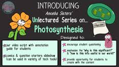 In the process of meiosis, chromosomes begin to match up in homologous pairs. Amoeba Sisters Handouts Science With The Amoeba Sisters