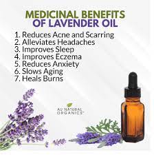 Lavender Oil Is An Essential Oil Derived From The Lavender Plant It Can Be Taken Orally Applied To The Skin A Lavender Benefits Natural Organic Lavender Oil