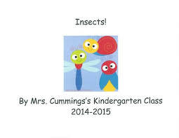 Mrs. Preston's Kindergarten Class Insect Book