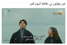 funny arabic quotes arabic funny funny korean