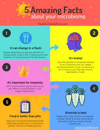 When you want to hit the road for an adventure, a camper is an integral part of the equation. Kristie Leong M D Twitter àªªàª° The Microbiome Is Command Central That Influences A Variety Of Functions Including Digestive And Immune Health Here Are Some Facts About It You Might Not Know Health