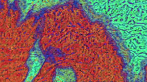 Team mosha · album · 2018 · 12 songs. Space Meow Doll San San Davis Galvin Baby Tears Remix Youtube