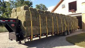It is the leaf and seed material in the hay that determines its quality, because they contain more of the nutrition value for the animal than the stems do.2:194 farmers try. Hay For Sale