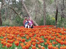 Check spelling or type a new query. Tip Travel 6 Hari Ke Perth Australia Bersama Keluarga Dengan Bajet Bawah Rm2k Seorang