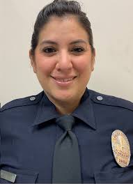 DEVONSHIRE AREA BASIC CARS