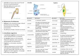 We did not find results for: B1 1 Cells 1 Observing Cells 2 Plant And Animal Cells Ppt Download