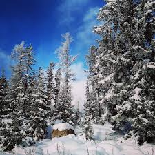 Besná, Low Tatras, Slovakia #slovakmountains #wintermountains #nizketatry  #hikingadventures #canonr6