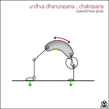 Urdhva Dhanurasana Upward Bow Pose