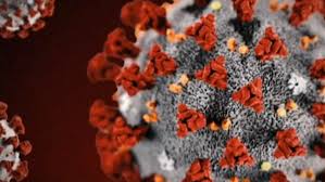 All over the world, millions of people are being subjected by their respective governments to an. Single Covid Case In Western Australia Leads To 5 Day Lockdown For 2 Million Wnep Com
