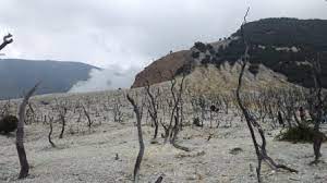 Ilmu geografi bukan lagi hanya sekedar fisik alamiah bumi, namun juga melihat akan aspek manusia dan hubungan interelasi antara kedua aspek tersebut. Contoh Soal Utbk 2021 Konsep Pendekatan Prinsip Geografi Pembahasan Guru Geografi