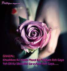 Pin On Urdu Ghazals